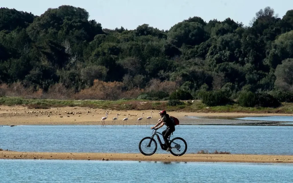 Ποδηλατάδα λιμνοθάλασσα Γιάλοβα φύση