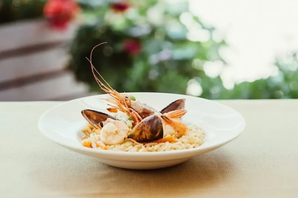 Elia restaurant Πύλος δημιουργική κουζίνα