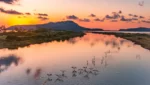 Gialova Lagoon: Flamingos, Chameleons, and the Ultimate Sunset - Messinia Greece
